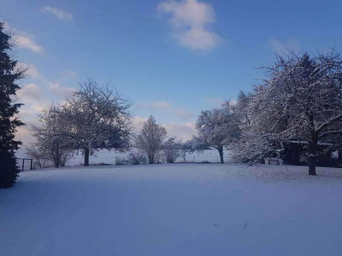 Ferienwohnung Parkblick ميدهباخ المظهر الخارجي الصورة